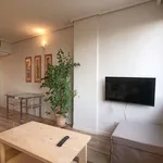 Rent 1 bedroom apartment of 40 m² in madrid