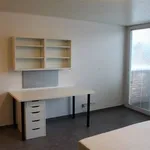 Rent 1 bedroom apartment in BASTOGNE