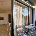 Rent 1 bedroom apartment of 36 m² in Trhový Štěpánov