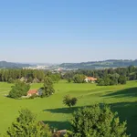 Rent 2 bedroom apartment of 45 m² in Teufen (AR)