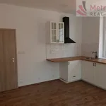 Pronajměte si 2 ložnic/e byt o rozloze 70 m² v Karlovy Vary