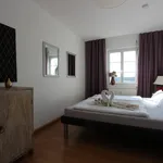 Rent 2 bedroom apartment of 50 m² in Leipzig