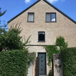 Maison de 500 m² avec 3 chambre(s) en location à Holsbeek