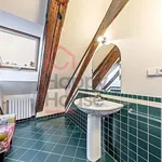 Rent 4 bedroom apartment of 221 m² in Prague