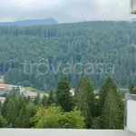 Rent 7 bedroom apartment of 81 m² in Pinzolo