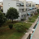 Affitto 3 camera appartamento di 70 m² in Viareggio