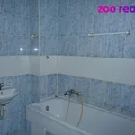 Rent 1 bedroom apartment of 40 m² in Křemže