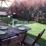 Rent 3 bedroom apartment of 90 m² in Paderno Dugnano