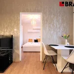 Pronajměte si 2 ložnic/e byt o rozloze 35 m² v Brno