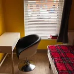 Rent a room in dublin