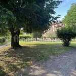 Rent 3 bedroom apartment of 100 m² in Treviso