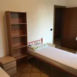 Rent a room in bologna