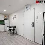 Rent 2 bedroom apartment of 33 m² in Brno