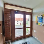 Pronájem bytu 3+1/ lodžie, 62 m2, zv. přízemí, panel