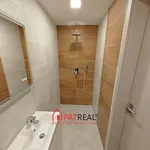 Rent 3 bedroom apartment of 441 m² in Trhový Štěpánov