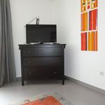 Rent 1 bedroom apartment of 37 m² in Flörsheim am Main