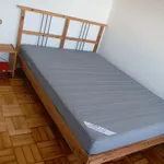 Rent 4 bedroom apartment in Porto