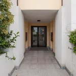 Rent 1 bedroom apartment in Rome