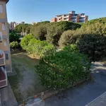 Affitto 3 camera appartamento di 75 m² in Follonica