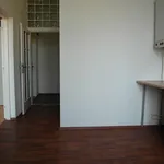 Rent 1 bedroom apartment of 33 m² in Brno