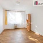 Rent 2 bedroom apartment of 41 m² in Rakovník