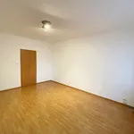 Rent 3 bedroom apartment of 73 m² in Brno