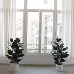 Rent 4 bedroom apartment of 120 m² in Barcelona