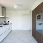 Rent 3 bedroom apartment of 100 m² in Pietrasanta