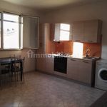 1-bedroom flat via Domenico Petochi, Centro, Grottaferrata