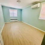 Rent 1 bedroom apartment of 69 m² in Brooklyn