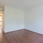 Rent 4 bedroom apartment of 158 m² in Budapest