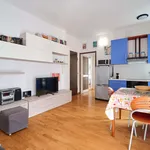 Rent 2 bedroom apartment of 45 m² in Milan