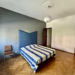 Rent 1 bedroom apartment of 65 m² in Torino