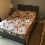 Rent 1 bedroom apartment in dublin