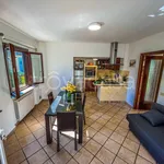 Rent 3 bedroom house of 90 m² in Vasto