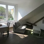 Rent 1 bedroom apartment of 46 m² in Brno