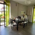 Rent 3 bedroom apartment of 75 m² in Torino