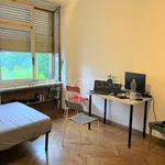 Rent 6 bedroom apartment of 125 m² in Torino