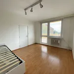 Rent 3 bedroom apartment of 73 m² in Brno