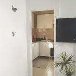 Rent 1 bedroom apartment in lisbon