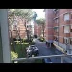 Appartamento arredato con terrazzo Città giardino