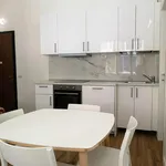 Rent 1 bedroom apartment in Milan