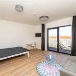 Rent 1 bedroom apartment in Berlin