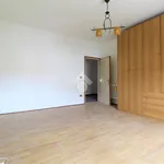 Rent 3 bedroom apartment of 80 m² in Sandrigo