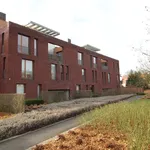 Rent 2 bedroom apartment of 146 m² in Heverlee