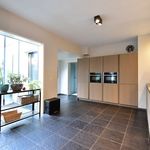 Rent 7 bedroom house of 229 m² in Prinsenbeek