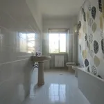 Rent 3 bedroom apartment of 100 m² in Roma