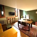 Rent 1 bedroom apartment of 65 m² in Padova