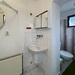 Rent 1 bedroom apartment of 36 m² in Litomyšl