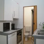 Rent 1 bedroom apartment of 312 m² in vienna